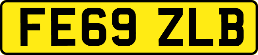 FE69ZLB