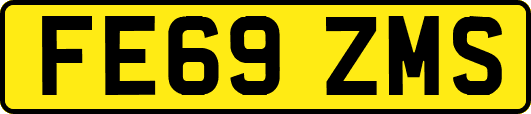 FE69ZMS