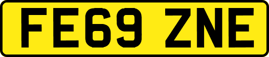 FE69ZNE