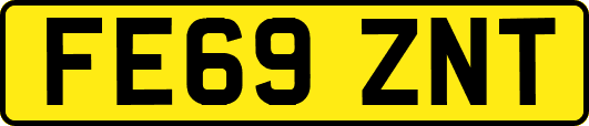 FE69ZNT