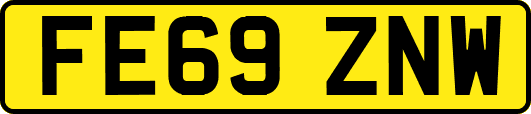 FE69ZNW