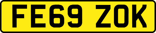 FE69ZOK