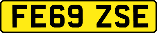 FE69ZSE