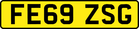 FE69ZSG