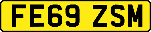 FE69ZSM