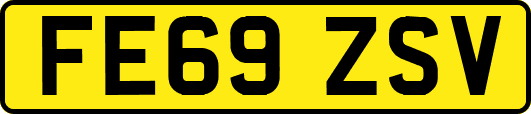 FE69ZSV