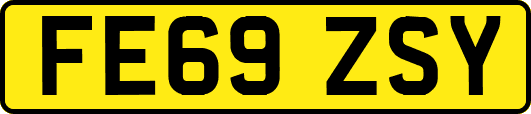 FE69ZSY