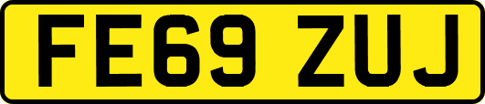 FE69ZUJ