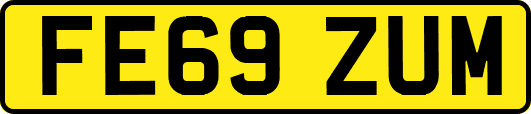 FE69ZUM