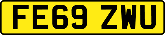 FE69ZWU