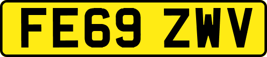 FE69ZWV