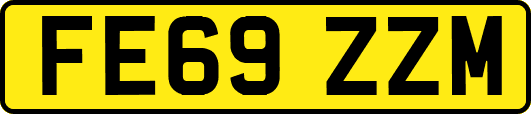 FE69ZZM