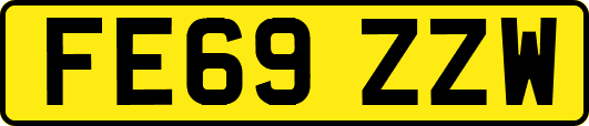 FE69ZZW