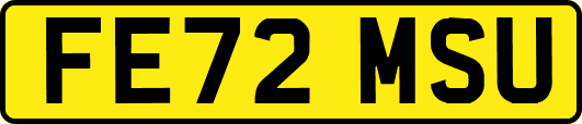 FE72MSU
