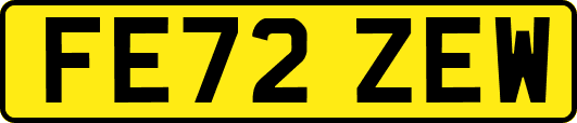 FE72ZEW