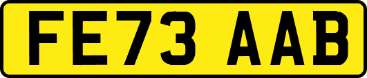 FE73AAB