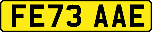 FE73AAE