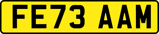 FE73AAM