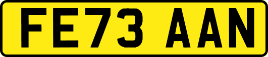 FE73AAN