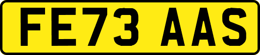 FE73AAS
