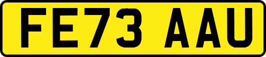 FE73AAU