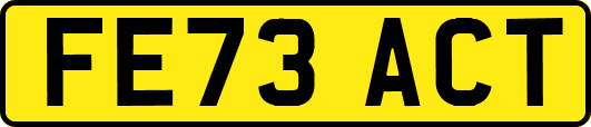 FE73ACT