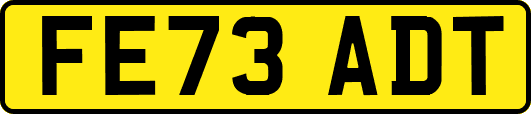 FE73ADT