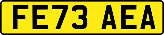 FE73AEA