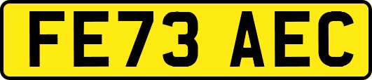 FE73AEC