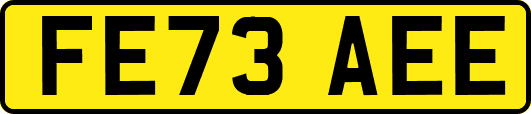 FE73AEE