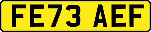 FE73AEF
