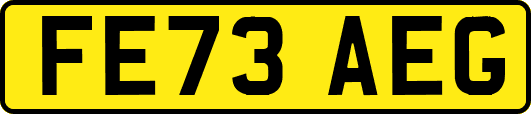 FE73AEG