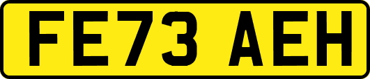 FE73AEH