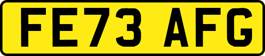 FE73AFG