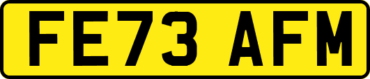 FE73AFM