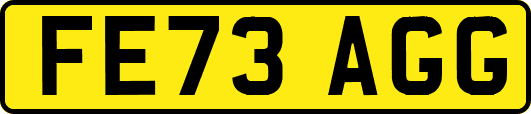 FE73AGG