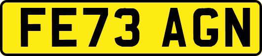 FE73AGN