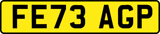 FE73AGP