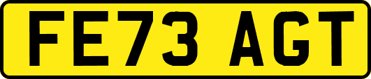 FE73AGT