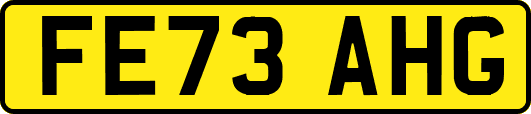 FE73AHG