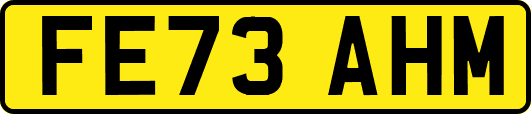 FE73AHM