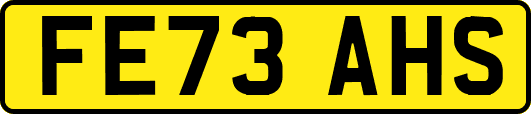 FE73AHS