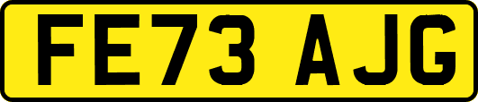 FE73AJG