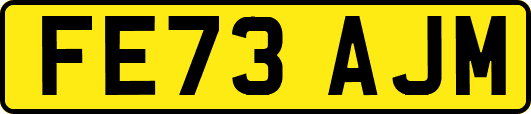 FE73AJM