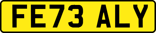 FE73ALY