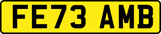 FE73AMB