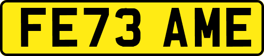 FE73AME