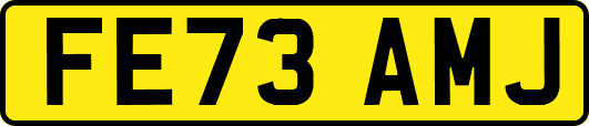FE73AMJ