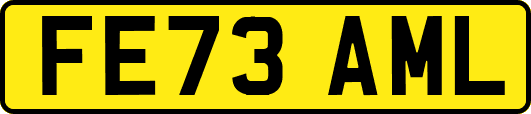 FE73AML