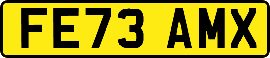 FE73AMX